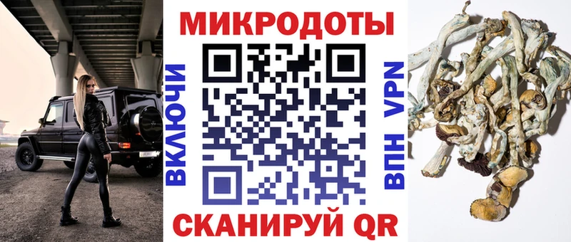 кракен ССЫЛКА  Сорск  Галлюциногенные грибы Psilocybine cubensis 
